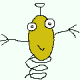 comolokko
