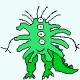 Gonca