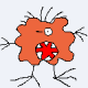 Net