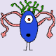 kalo