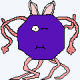 meltem