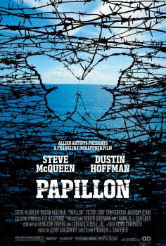 Papillon – Kelebek