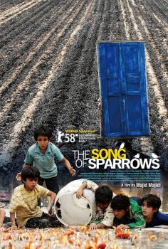 The Song of Sparrows – Serçelerin Şarkısı