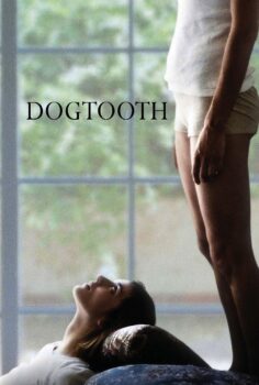 Dogtooth – Köpek Dişi