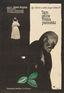 Wild Strawberries – Yaban Çilekleri