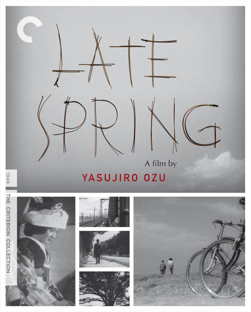 Late Spring – Geç Gelen Bahar