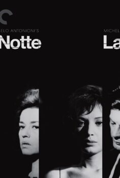 La Notte – Gece