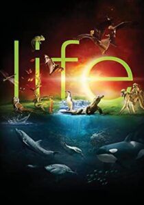 Life – Hayat