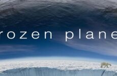 Frozen Planet – Kutuplar Atlası