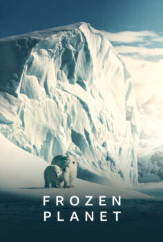 Frozen Planet – Kutuplar Atlası