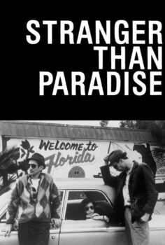 Stranger Than Paradise – Cennetten de Garip