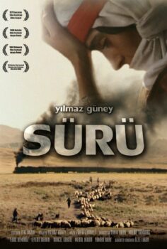 Sürü