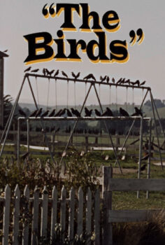 The Birds – Kuşlar