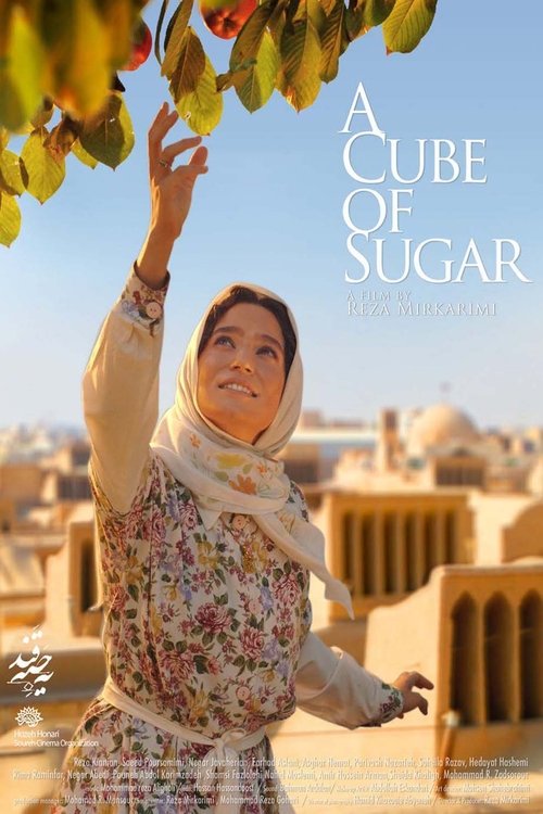 A Cube of Sugar – Küp Şeker