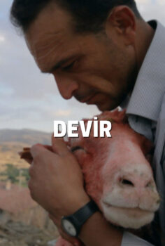 Devir