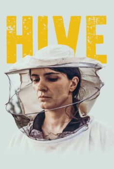 Hive – Kovan