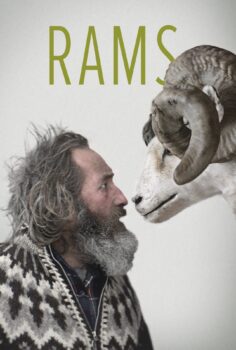 Rams – İnatçılar