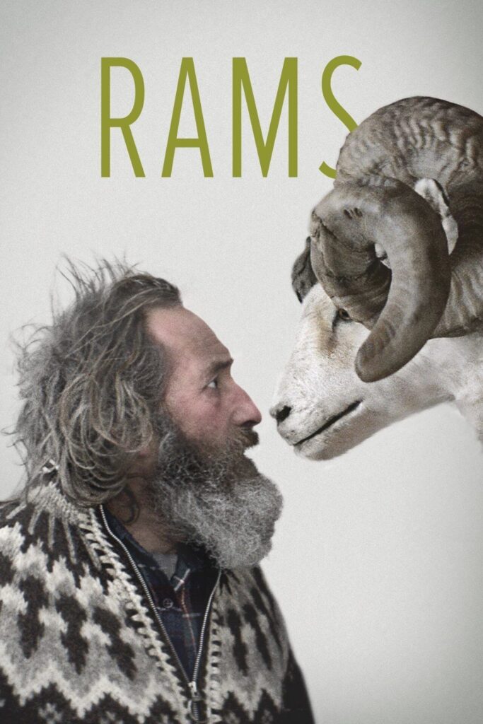 Rams – İnatçılar