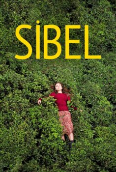 Sibel