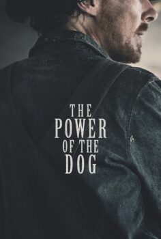 The Power of the Dog – Köpeğin Pençesi