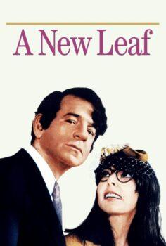 A New Leaf – Yeni Bir Sayfa