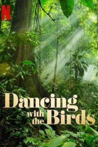 Dancing with the Birds – Kuşlarla Dans