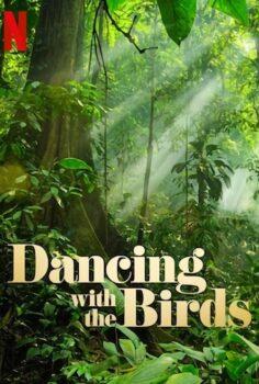 Dancing with the Birds – Kuşlarla Dans