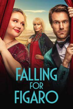 Falling for Figaro – Figaro’ya Aşık Olmak