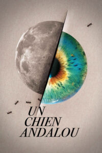 Un Chien Andalou – Bir Endülüs Köpeği