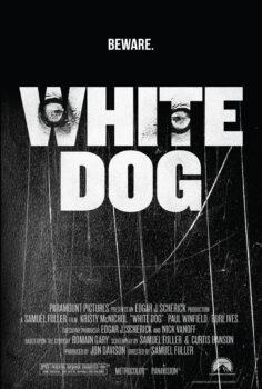 White Dog – Beyaz Köpek