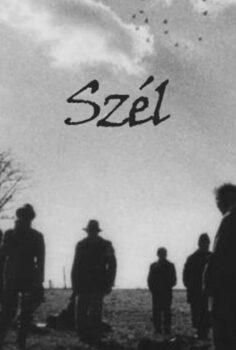 Szél