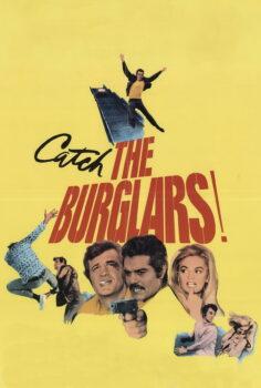 The Burglars – Hırsızlar