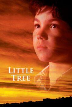 The Education of Little Tree – Küçük Ağaç’ın Eğitimi