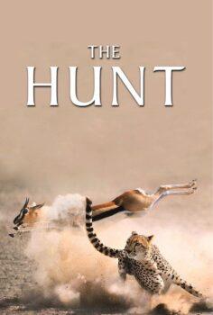 The Hunt