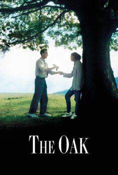 The Oak – Balanta