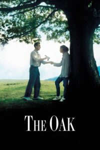 The Oak – Balanta