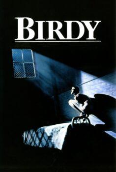 Birdy