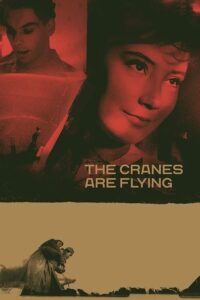 The Cranes Are Flying – Leylekler Uçarken