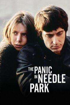 The Panic in Needle Park – Esrar Bitti