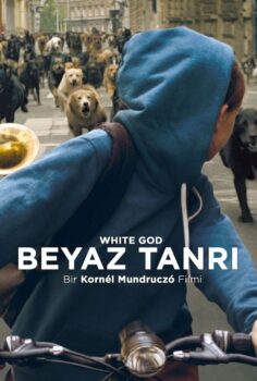 White God – Beyaz Tanrı