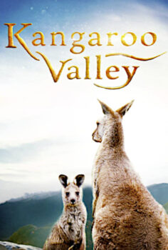 Kangaroo Valley – Kanguru Vadisi