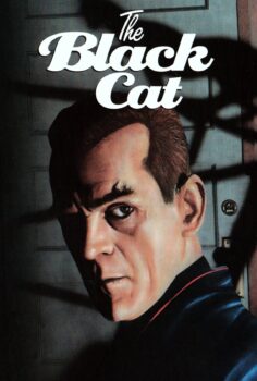 The Black Cat – Kara Kedi