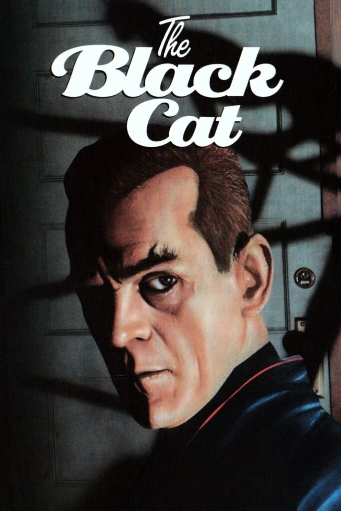 The Black Cat – Kara Kedi