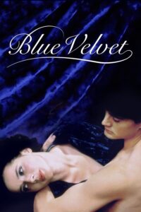 Blue Velvet – Mavi Kadife