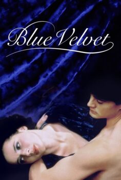 Blue Velvet – Mavi Kadife