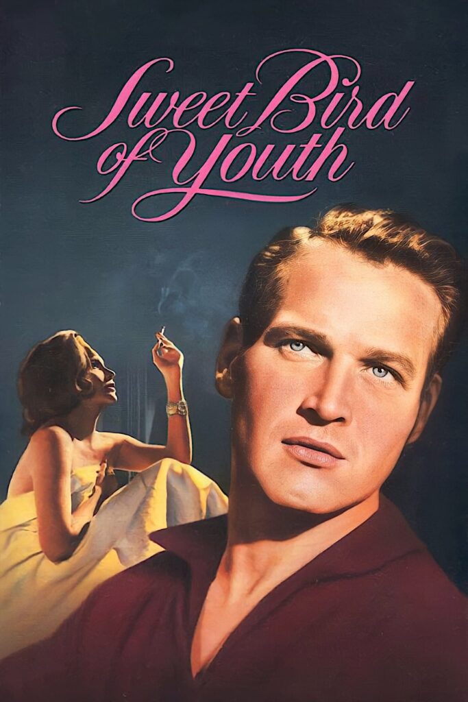 Sweet Bird of Youth – Yaralı Kadın