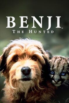 Benji the Hunted – Av Köpeği Benji