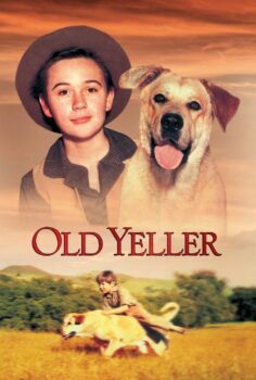 Old Yeller – Sadık Dost