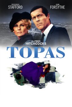 Topaz – Topas