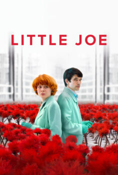 Little Joe – Küçük Joe